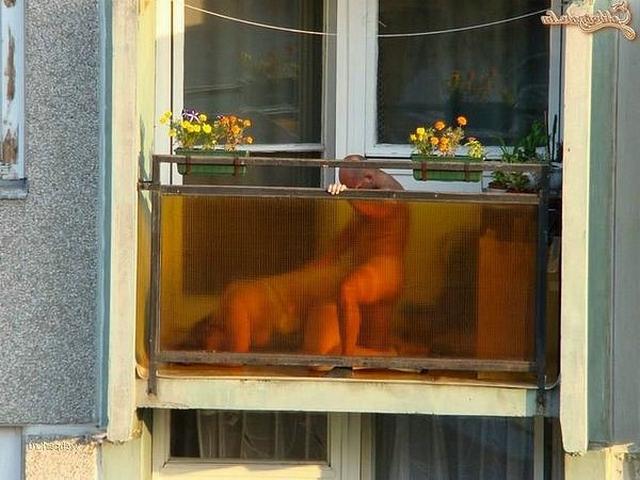 Парочки трахаются не скрываясь 12 фото