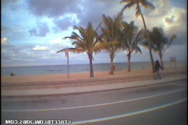 Лапочка сосет пенис на прогулке 1 фото