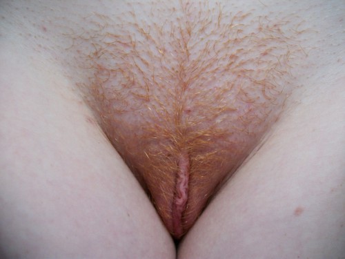 Рыжеволосые телки оголились и светят волосатыми пилотками 1 фото